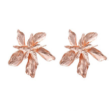 Load image into Gallery viewer, Charm Earrings Party Jewelry
